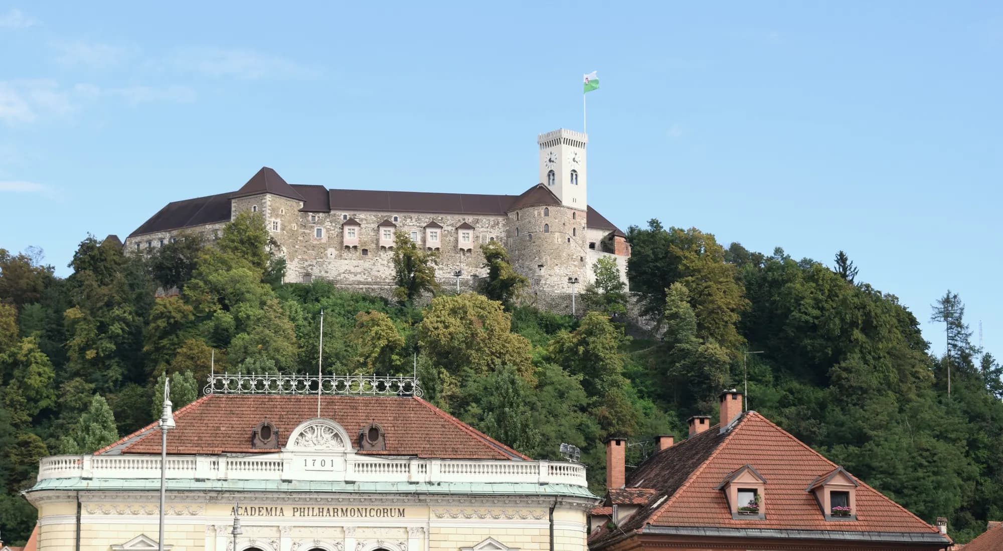 Zakaj je DivoCars vaša najboljša izbira v Sloveniji