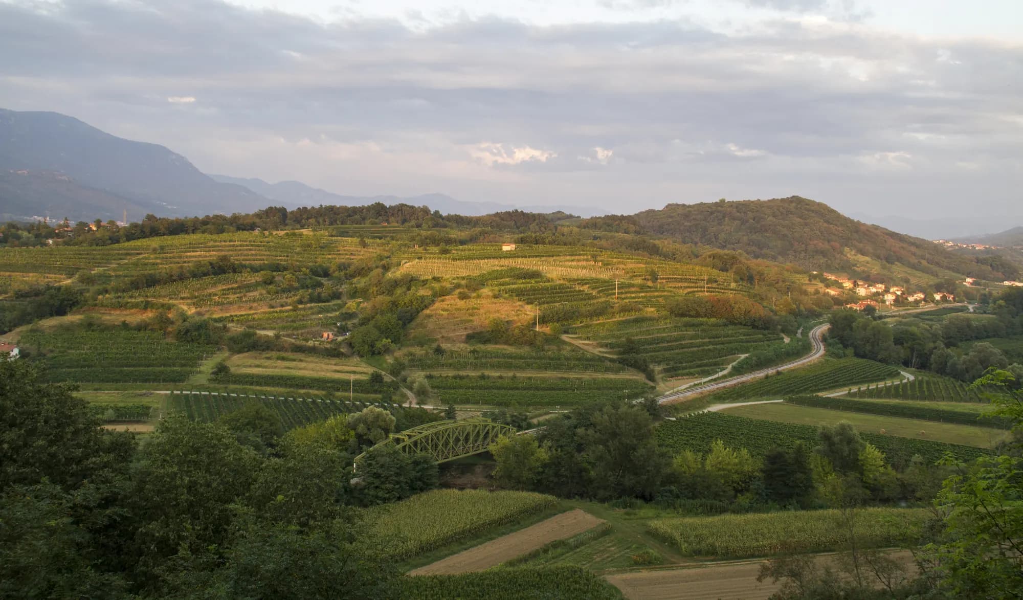 Slovenske vinske ceste: Pustolovščina z avtomobilom