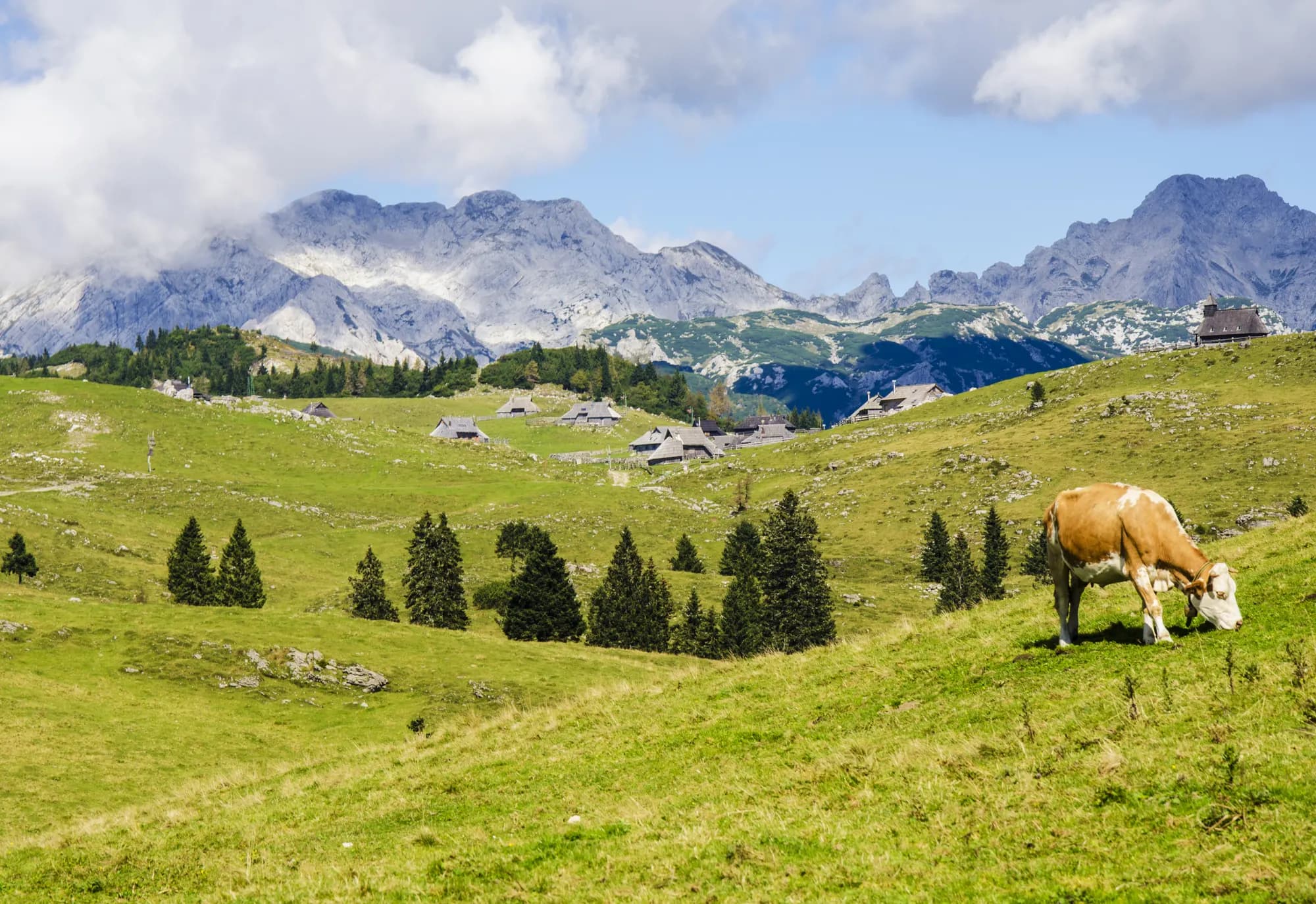 Ljubljana → Velika planina